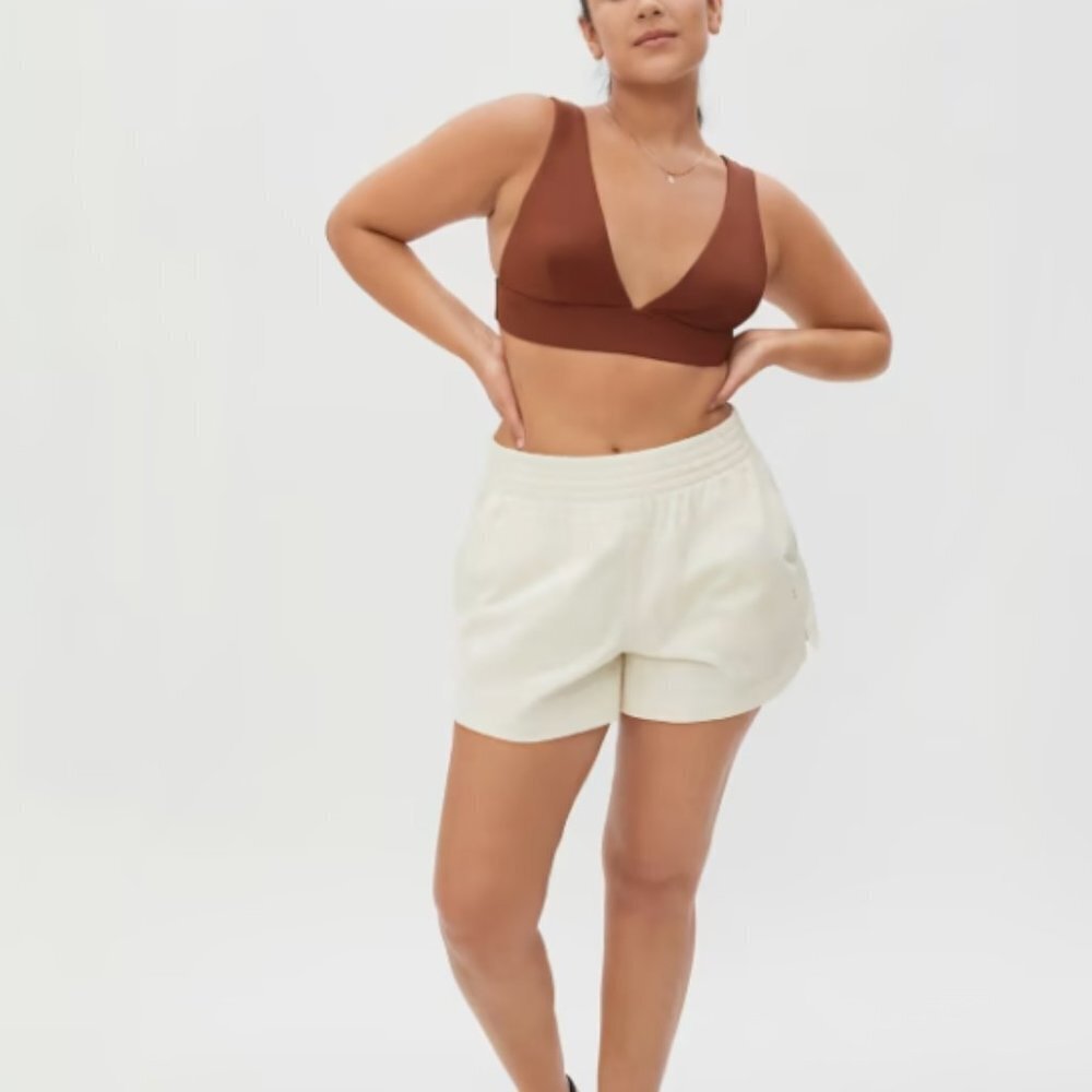 Everlane Triangle Bikini Top